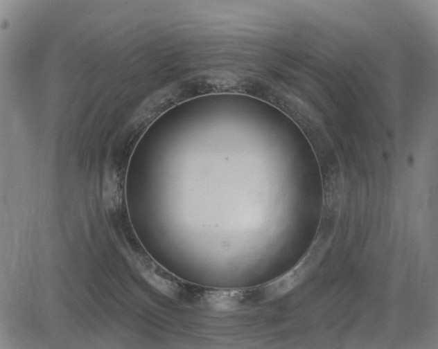 X0000085000136200703051231