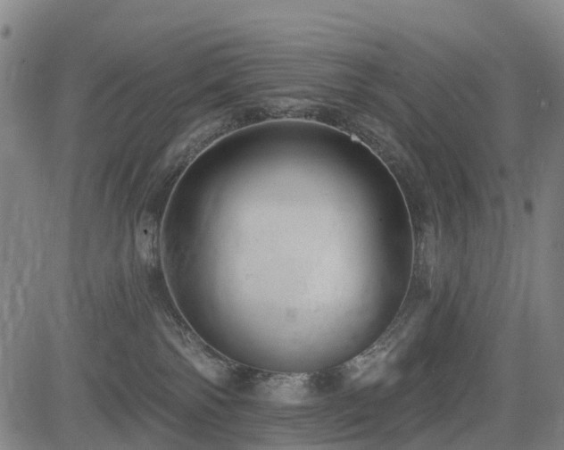 X0000085000138200703051231