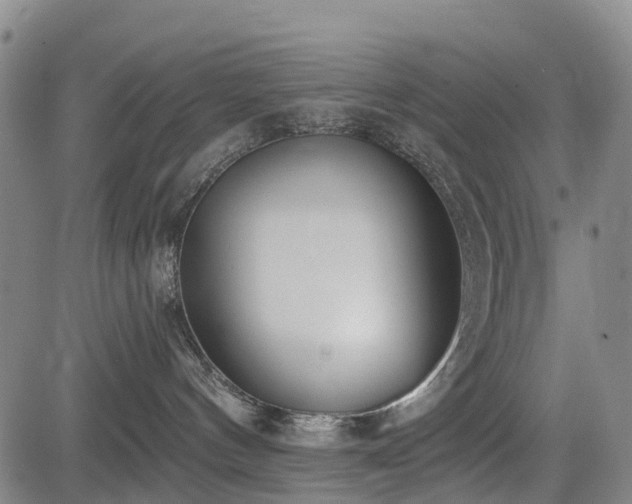 X0000085000144200703051231