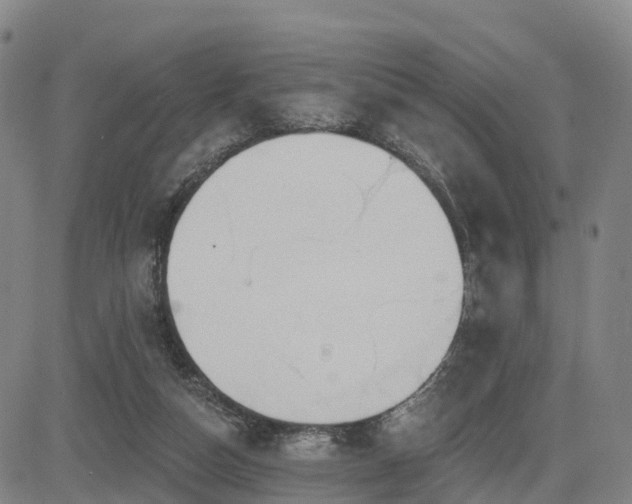 X0000085000162200703051230
