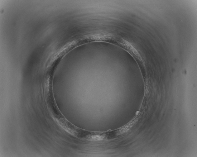 X0000085000163200703051230