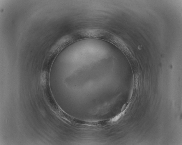 X0000085000167200703051230