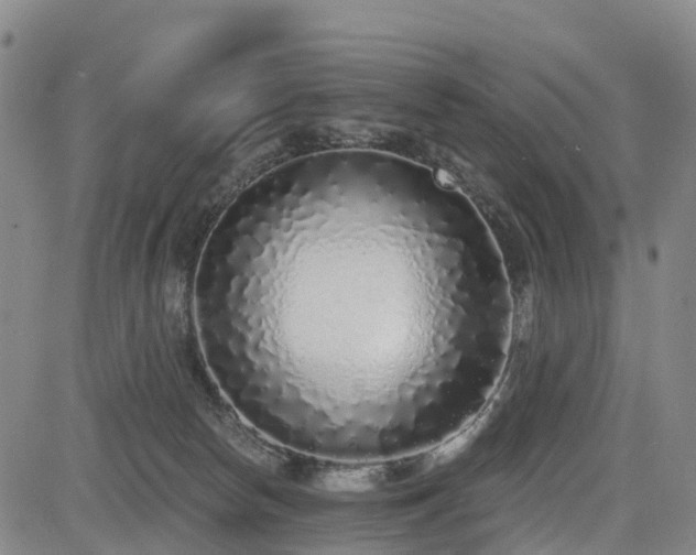 X0000085000178200703051230
