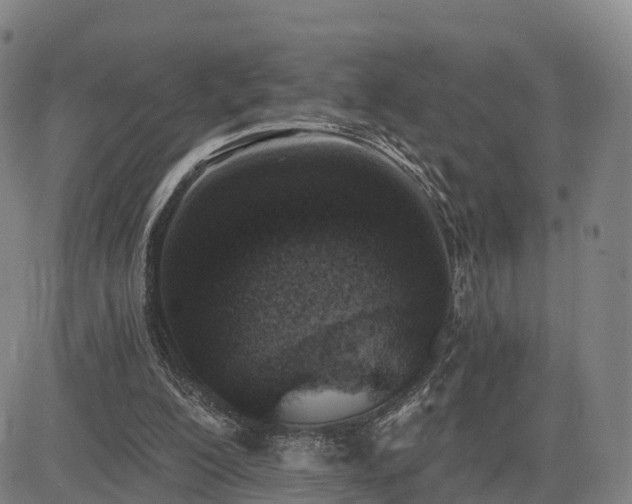 X0000085000200200703051230