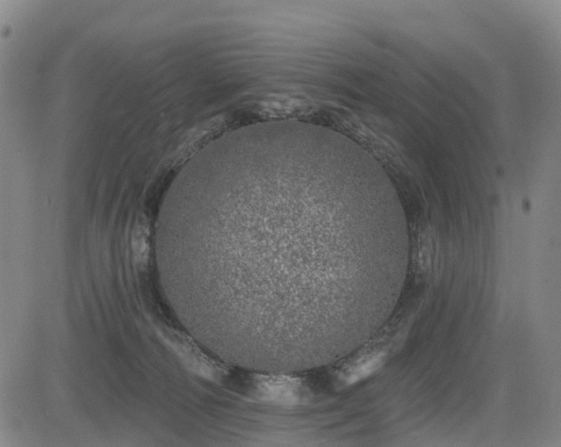 X0000085000226200703051229