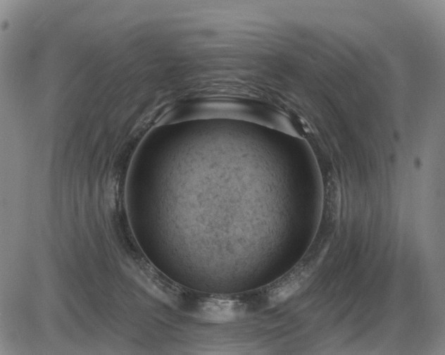 X0000085000227200703051229