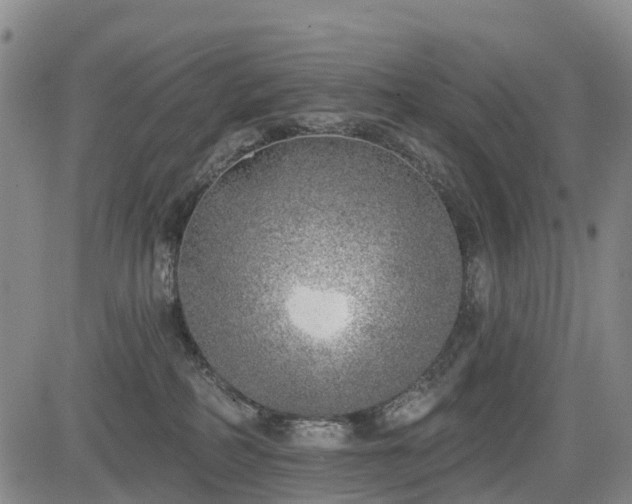 X0000085000234200703051229