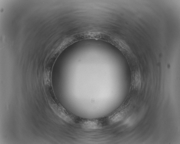 X0000085000236200703051229