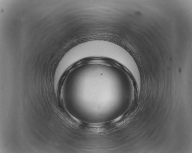 X0000085000237200703051229