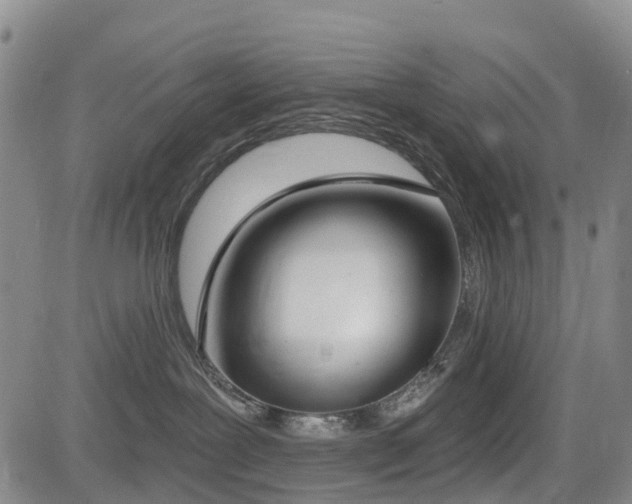 X0000085000239200703051229