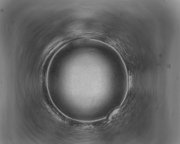 X0000085000243200703051228