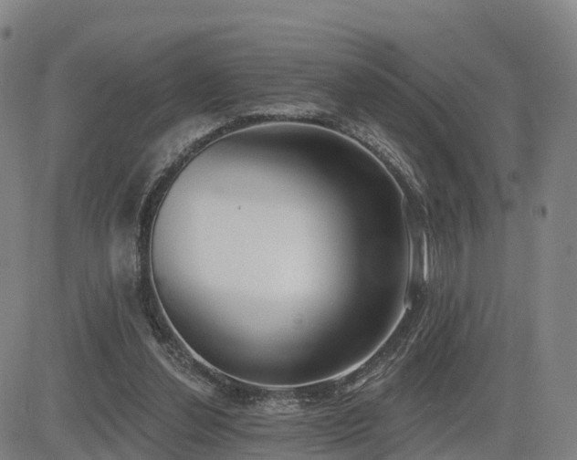 X0000085000252200703051228
