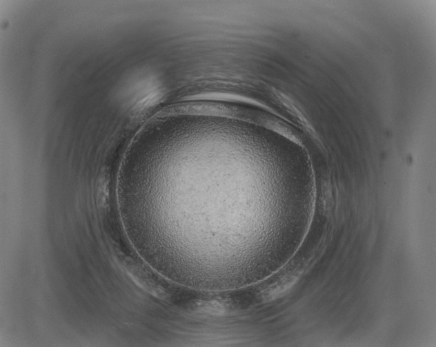 X0000085000259200703051228