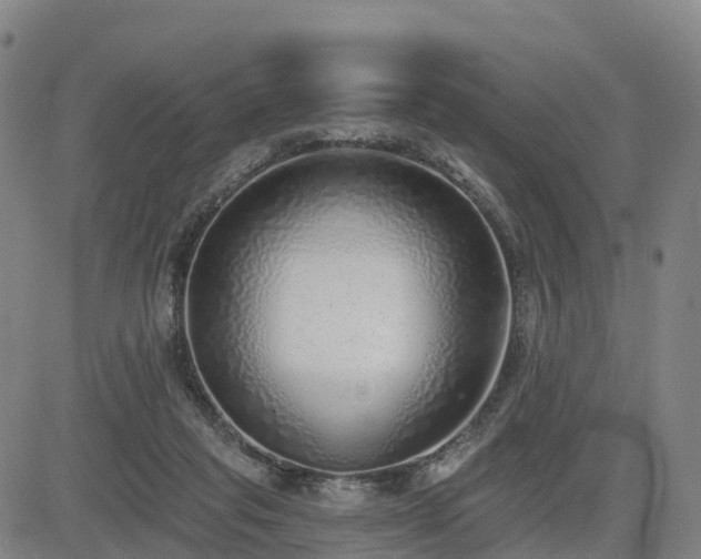 X0000085000261200703051229