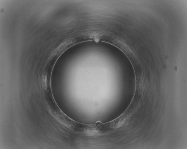 X0000085000262200703051229