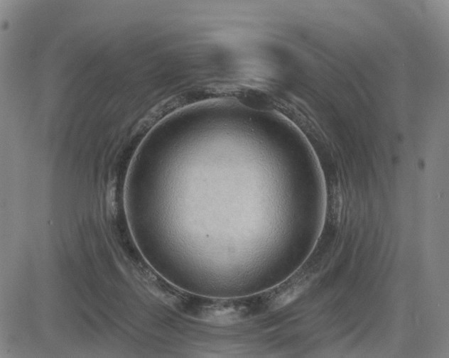 X0000085000267200703051229