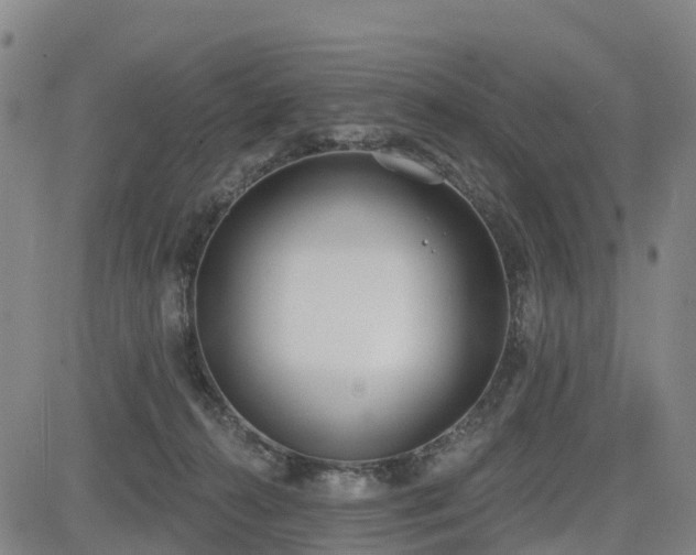 X0000085000272200703051229