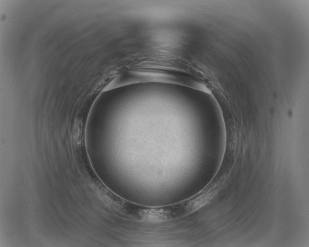 X0000085000273200703051229