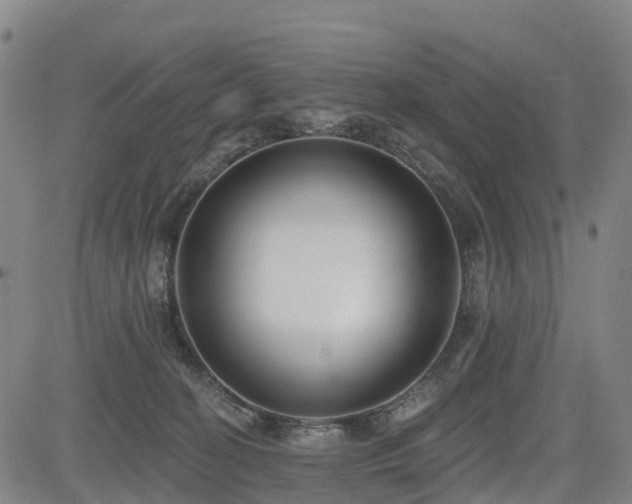 X0000085000274200703051229