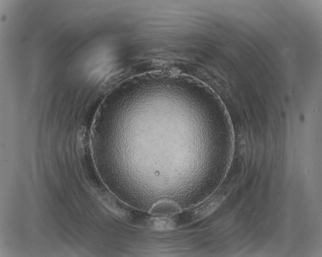 X0000085000275200703051229