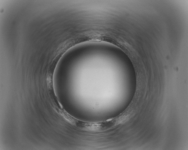 X0000085000288200703051229