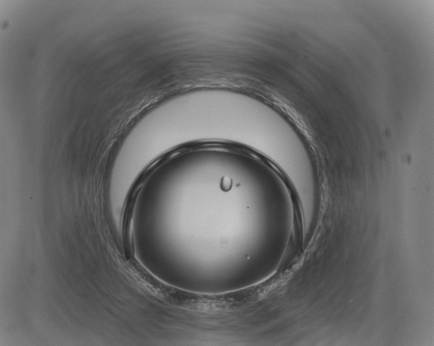 X0000085000305200703051228