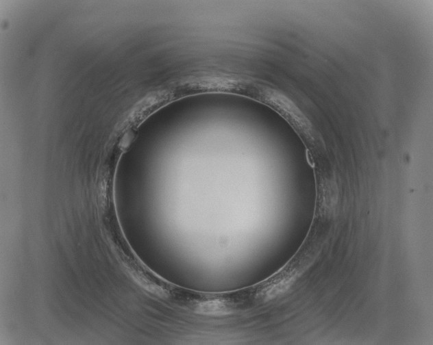 X0000085000309200703051228