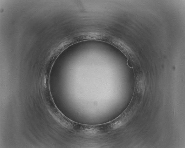 X0000085000310200703051228
