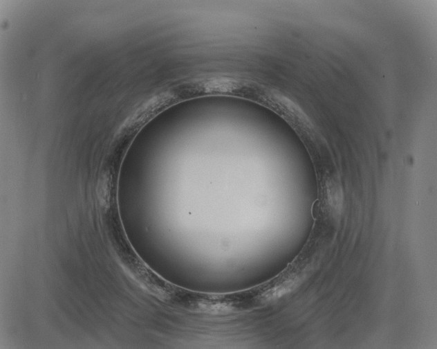 X0000085000311200703051228