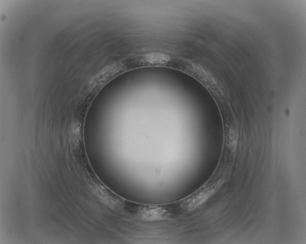 X0000085000321200703051228