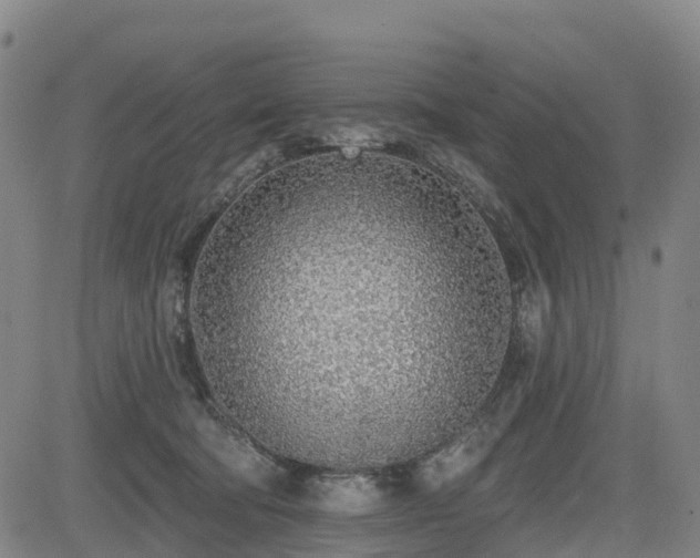X0000085000322200703051228