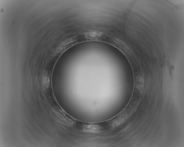 X0000085000324200703051228