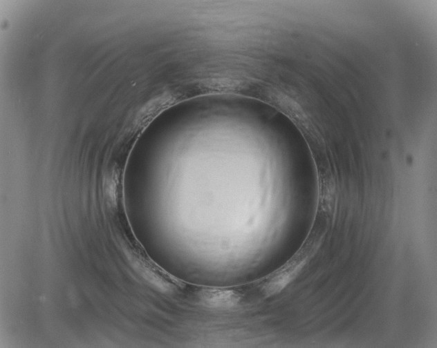 X0000085000334200703051227