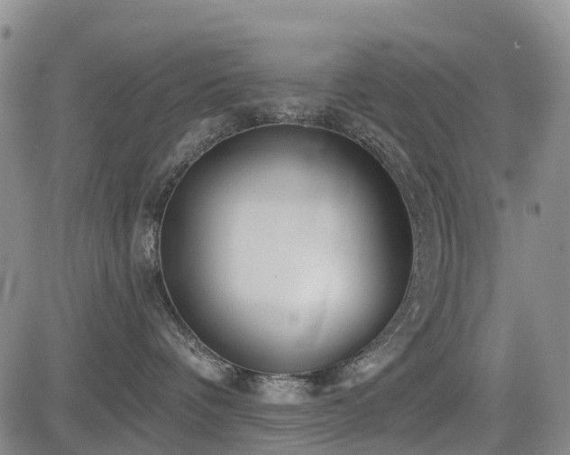 X0000085000336200703051227