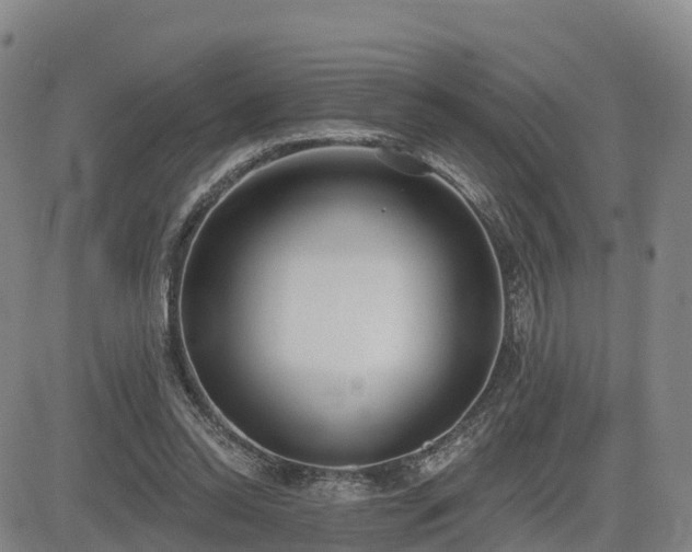 X0000085000350200703051227