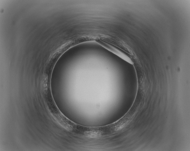 X0000085000356200703051227