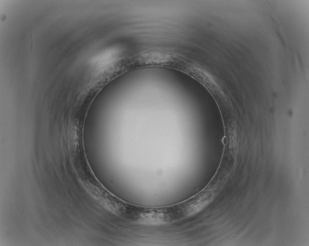 X0000085000362200703051227