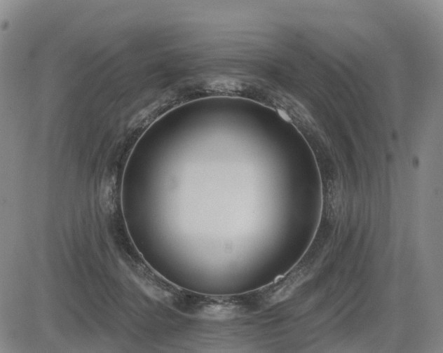 X0000085000364200703051227