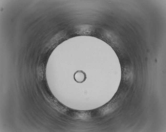 X0000085000370200703051227