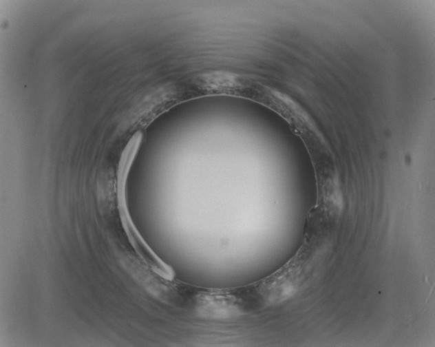 X0000085000372200703051227