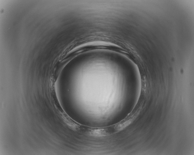 X0000085000382200703051227
