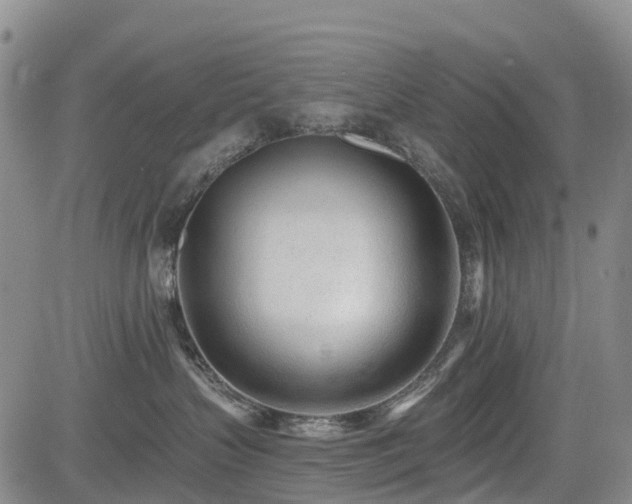 X0000085000383200703051227