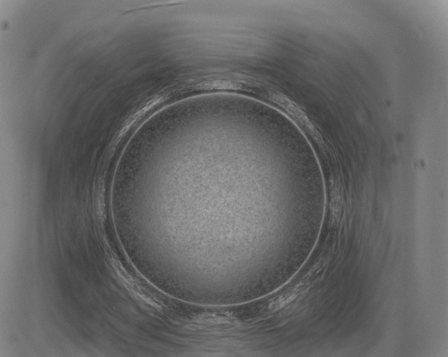 X0000085000386200703051227