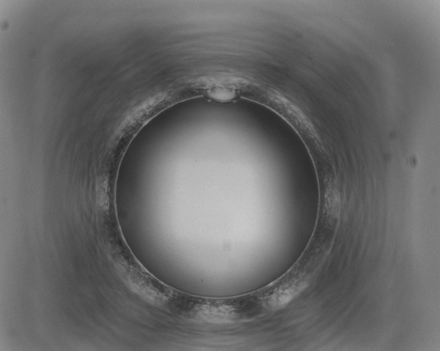 X0000085000403200703051226