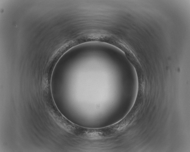 X0000085000407200703051226