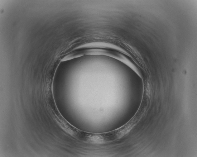 X0000085000409200703051226