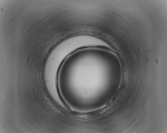 X0000085000411200703051226