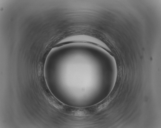 X0000085000412200703051226