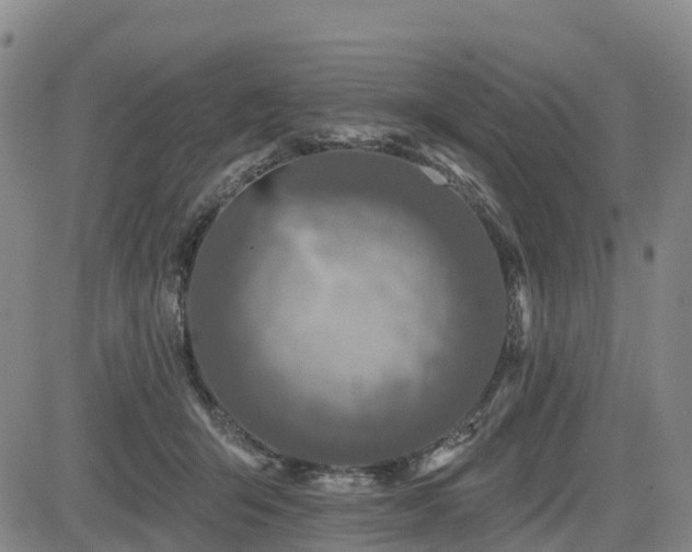 X0000085000415200703051226