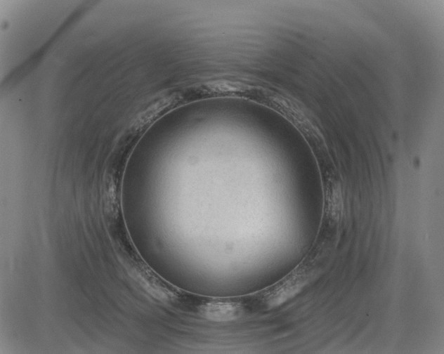X0000085000418200703051226